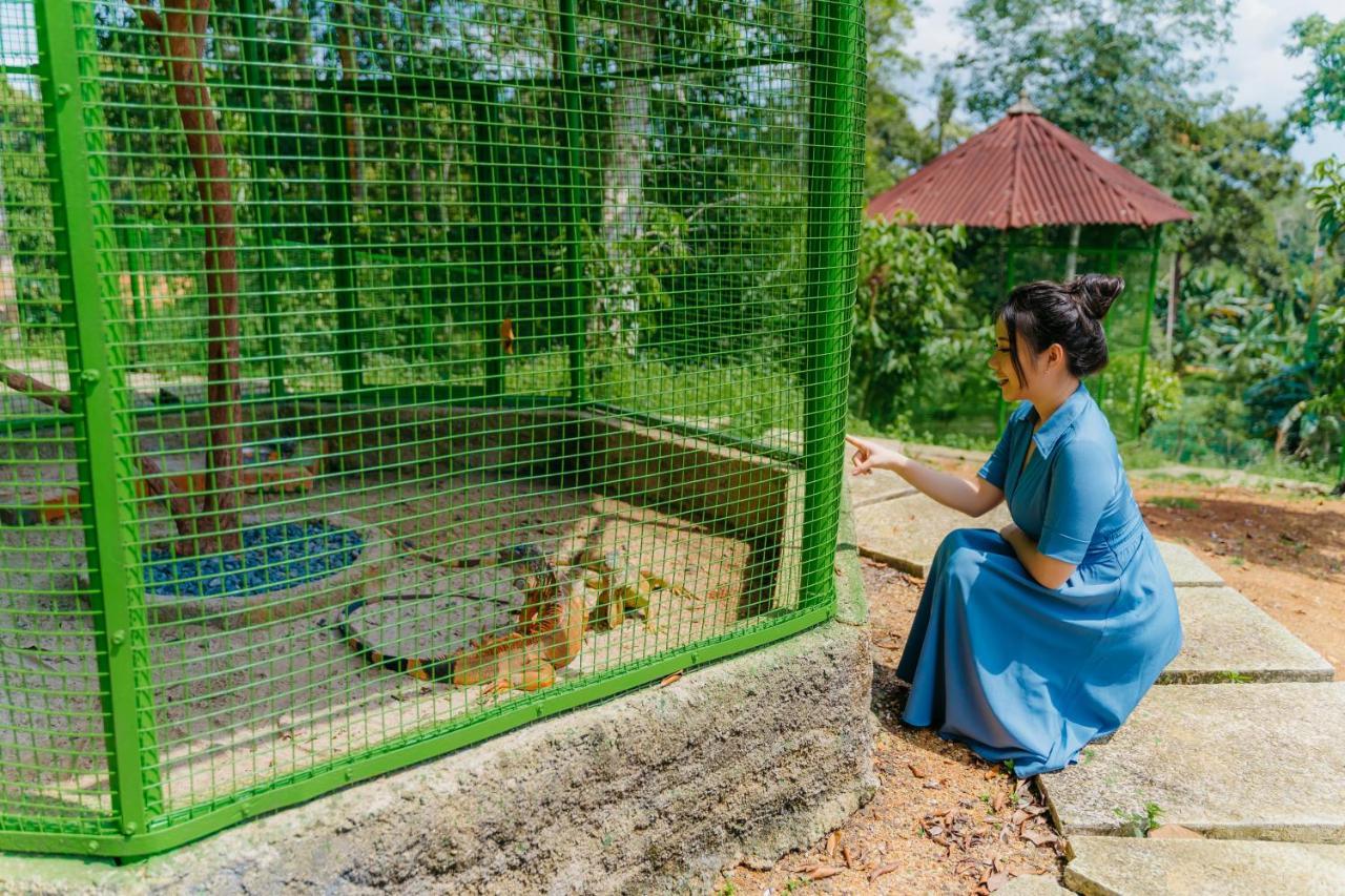 De Bintan Villa Tenaga Dış mekan fotoğraf